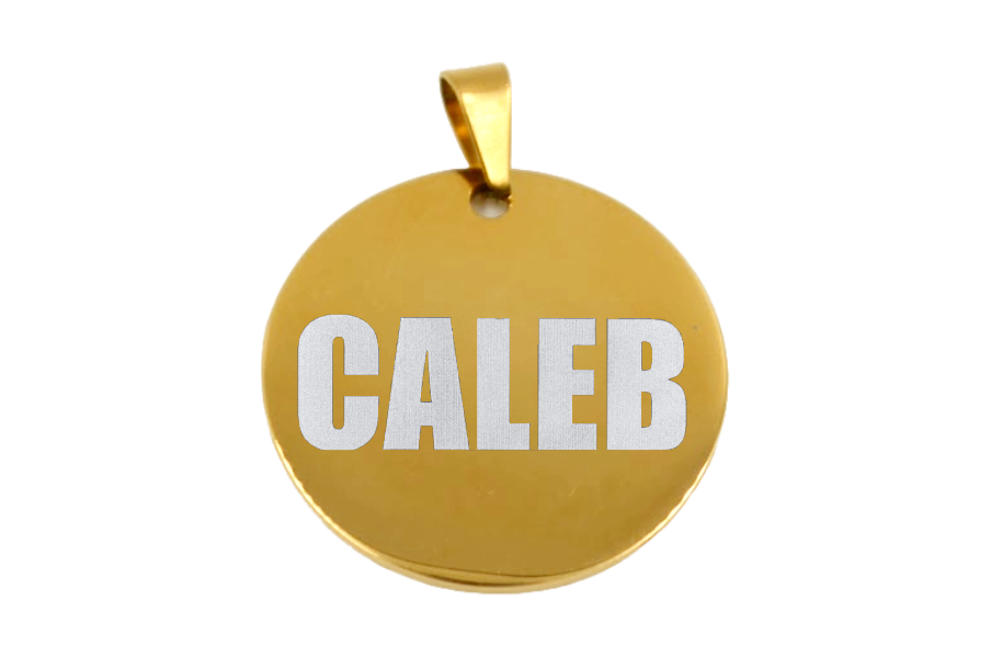 PLACA DE IDENTIFICACIÓN PERSONALIZABLE PARA MASCOTAS