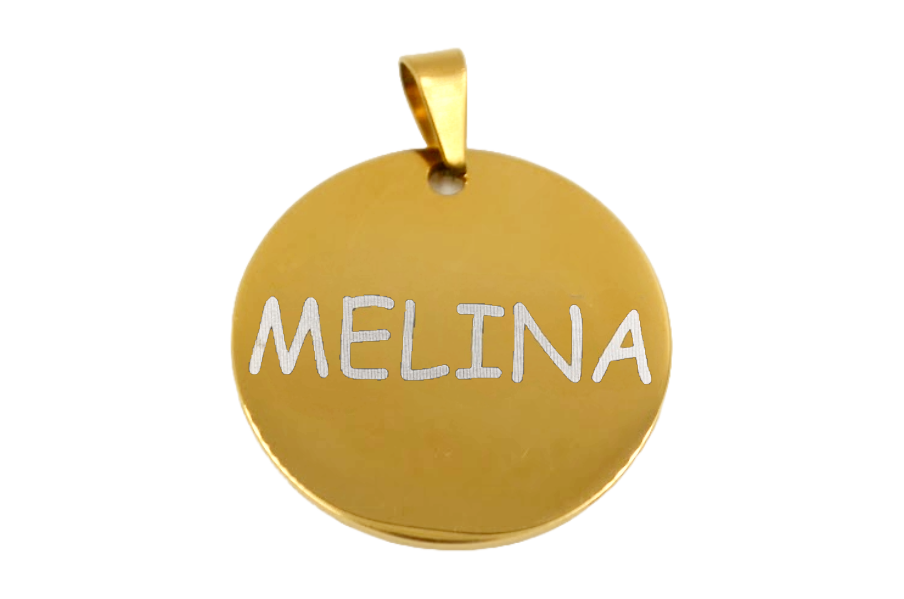 PLACA DE IDENTIFICACIÓN PERSONALIZABLE PARA MASCOTAS