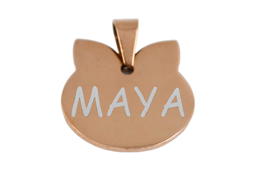 PLACA DE IDENTIFICACIÓN PERSONALIZABLE PARA MASCOTAS