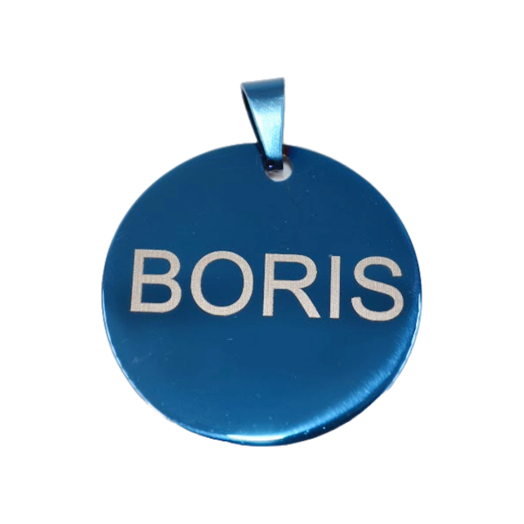 PLACA DE IDENTIFICACIÓN PERSONALIZABLE PARA MASCOTAS