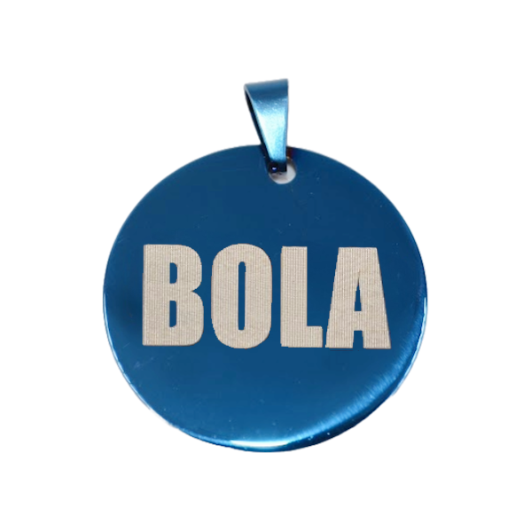 PLACA DE IDENTIFICACIÓN PERSONALIZABLE PARA MASCOTAS