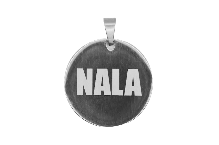 PLACA DE IDENTIFICACIÓN PERSONALIZABLE PARA MASCOTAS