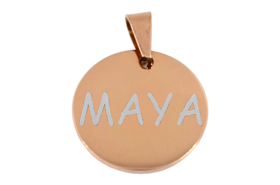 PLACA DE IDENTIFICACIÓN PERSONALIZABLE PARA MASCOTAS