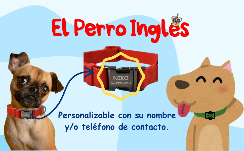 COLLAR PERSONALIZABLE