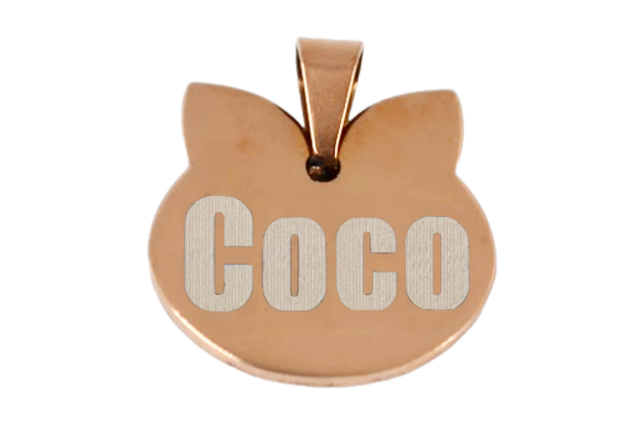 PLACA DE IDENTIFICACIÓN PERSONALIZABLE PARA MASCOTAS