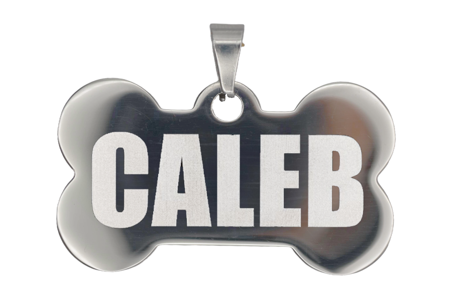 PLACA DE IDENTIFICACIÓN PERSONALIZABLE PARA MASCOTAS