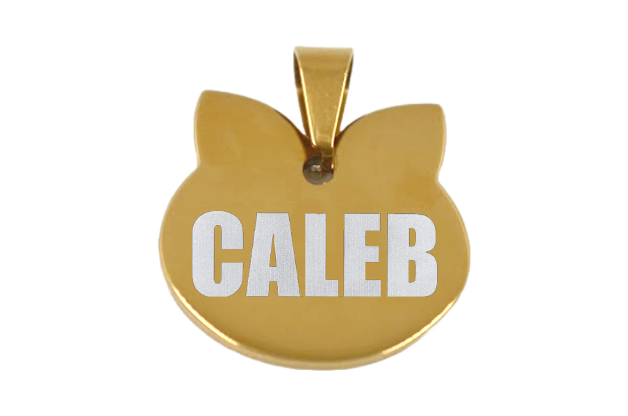 PLACA DE IDENTIFICACIÓN PERSONALIZABLE PARA MASCOTAS