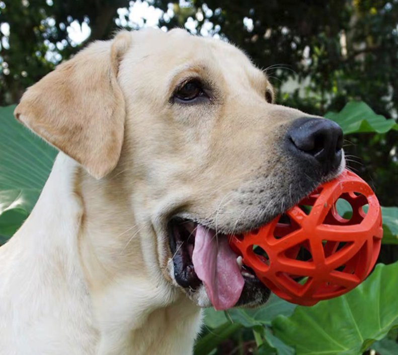 PELOTA INTERACTIVA TIPO RED