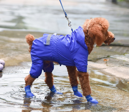 BOTAS IMPERMEABLES PARA PERROS CHICOS