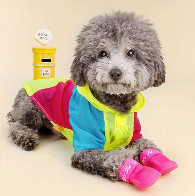 BOTAS IMPERMEABLES PARA PERROS CHICOS