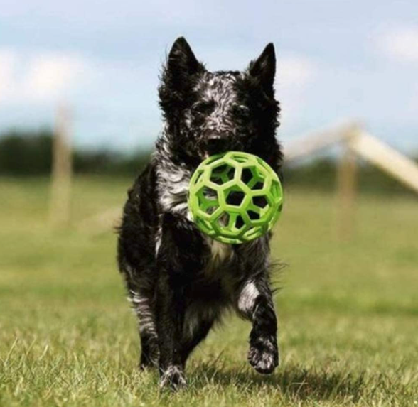 PELOTA INTERACTIVA TIPO RED