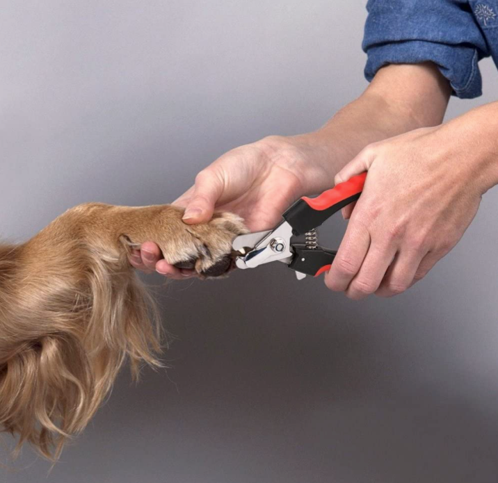 KIT CORTA UÑAS + LIMA PARA MASCOTA