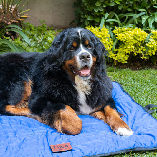 TAPETE PERSONALIZABLE (DIFERENTES TAMAÑOS Y COLORES)