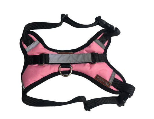 ARNÉS PERSONALIZABLE CON EL NOMBRE DE SU PERRO