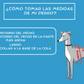 CHALECO PERSONALIZABLE CON EL NOMBRE DE SU PERRO