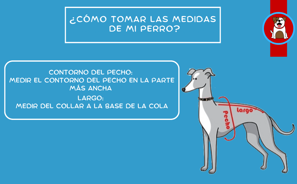 CHALECO PERSONALIZABLE CON EL NOMBRE DE SU PERRO