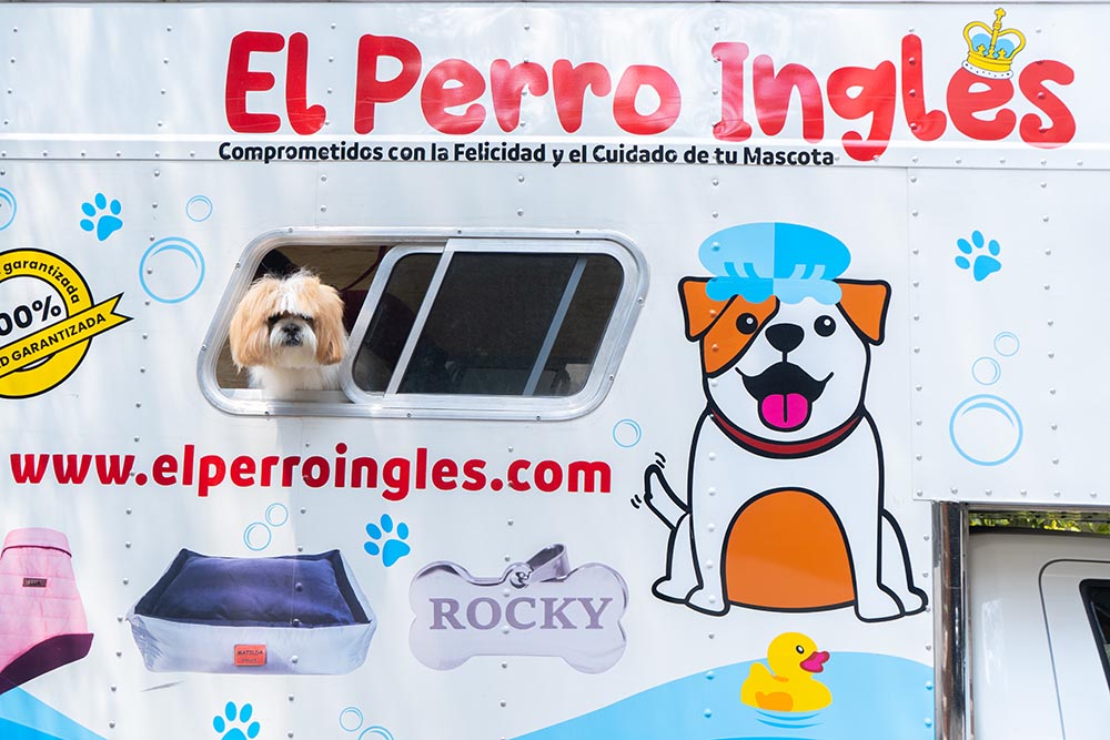 Cargar video: 