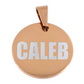 PLACA DE IDENTIFICACIÓN PERSONALIZABLE PARA MASCOTAS