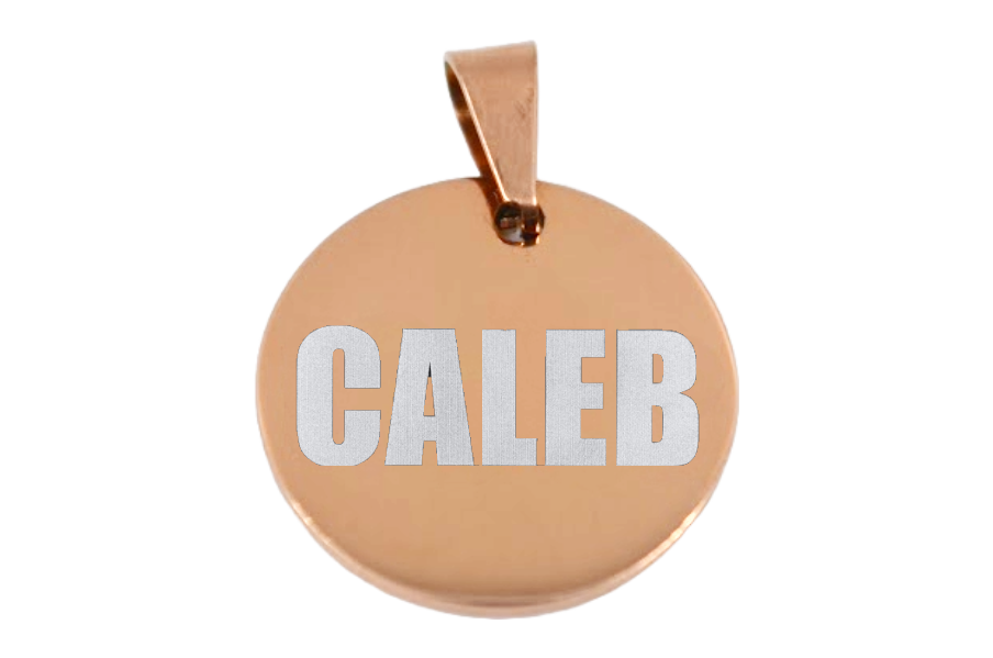 PLACA DE IDENTIFICACIÓN PERSONALIZABLE PARA MASCOTAS
