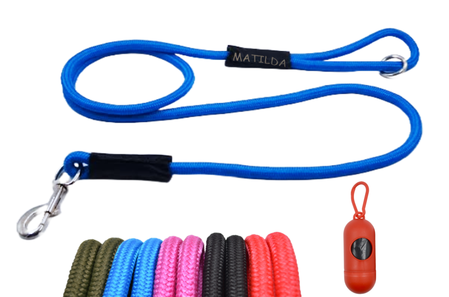 Correa Personalizable Diferentes Modelos y Colores