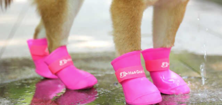 BOTAS IMPERMEABLES PARA PERROS CHICOS