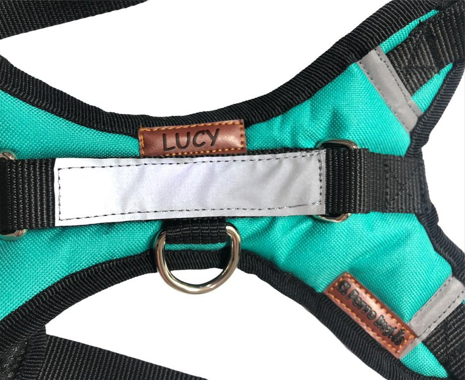 ARNÉS PERSONALIZABLE CON EL NOMBRE DE SU PERRO