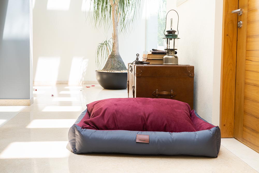 CAMA PERSONALIZABLE (DIFERENTES TAMAÑOS Y COLORES)