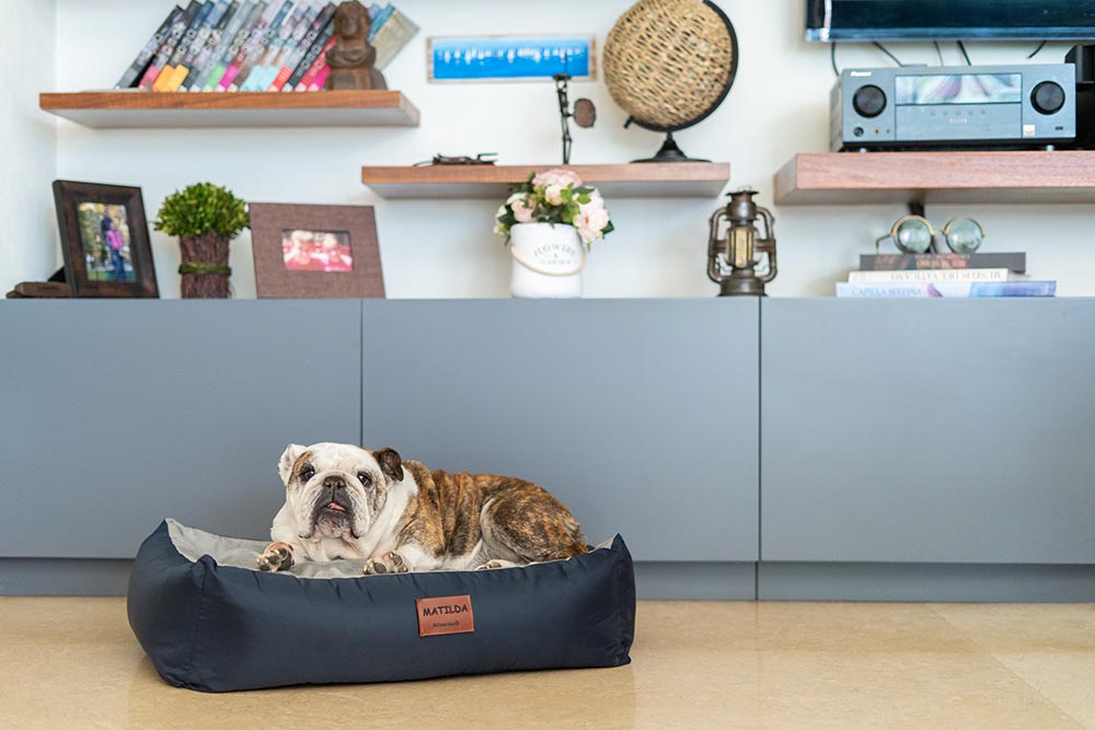 CAMA PERSONALIZABLE (DIFERENTES TAMAÑOS Y COLORES)