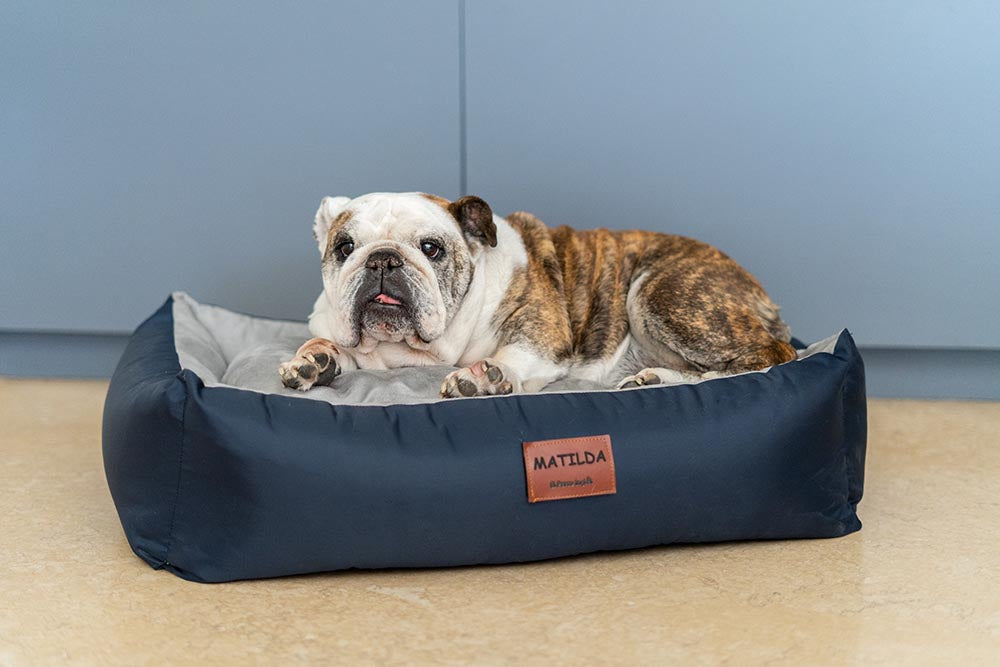 CAMA PERSONALIZABLE (DIFERENTES TAMAÑOS Y COLORES)