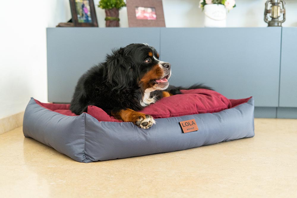 CAMA PERSONALIZABLE (DIFERENTES TAMAÑOS Y COLORES)