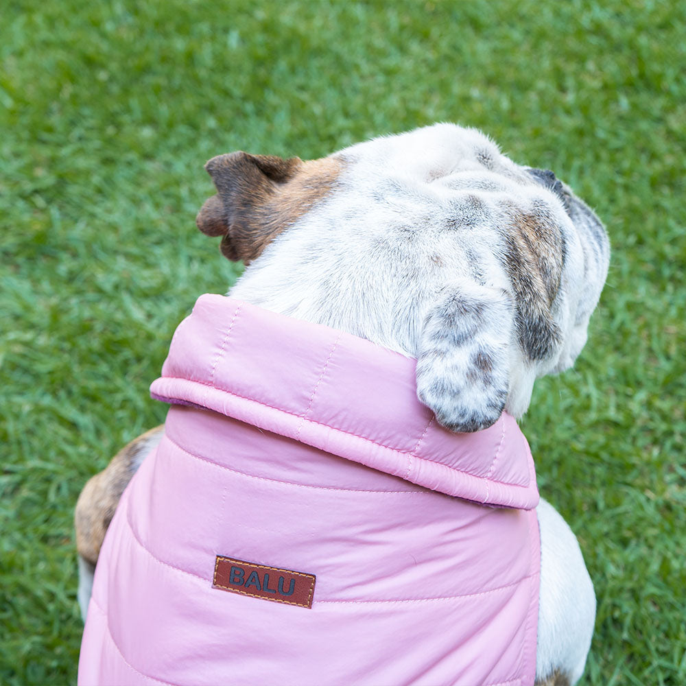 CHALECO PERSONALIZABLE CON EL NOMBRE DE SU PERRO