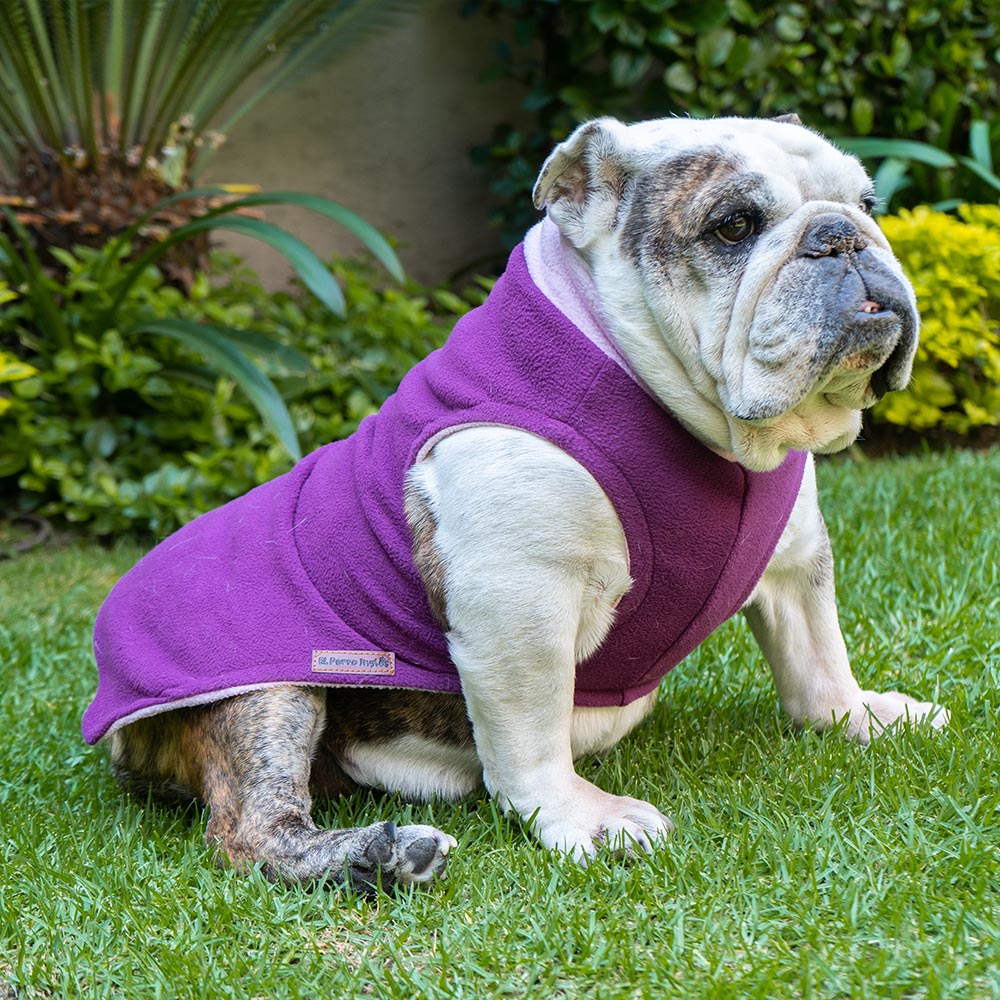 SUETER PERSONALIZABLE CON EL NOMBRE DE SU PERRO