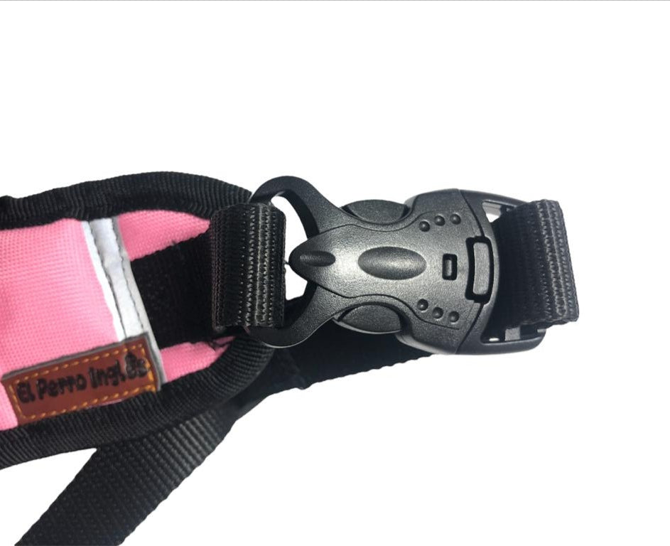 ARNÉS PERSONALIZABLE CON EL NOMBRE DE SU PERRO